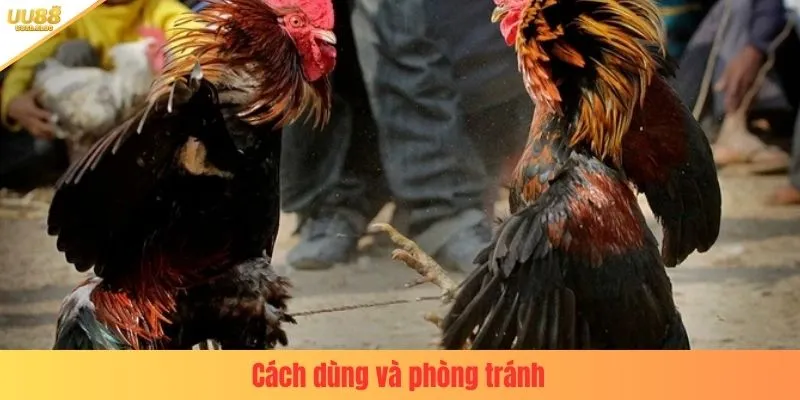 Cách dùng và phòng tránh